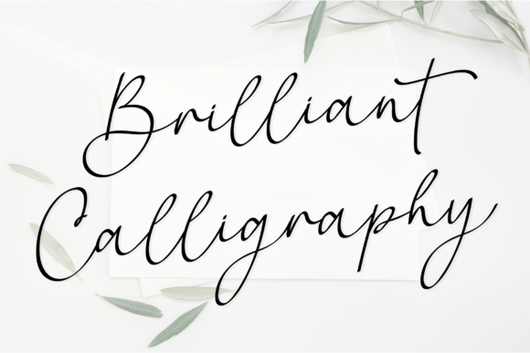 Brilliant Calligraphy: A Premium Script Font Review